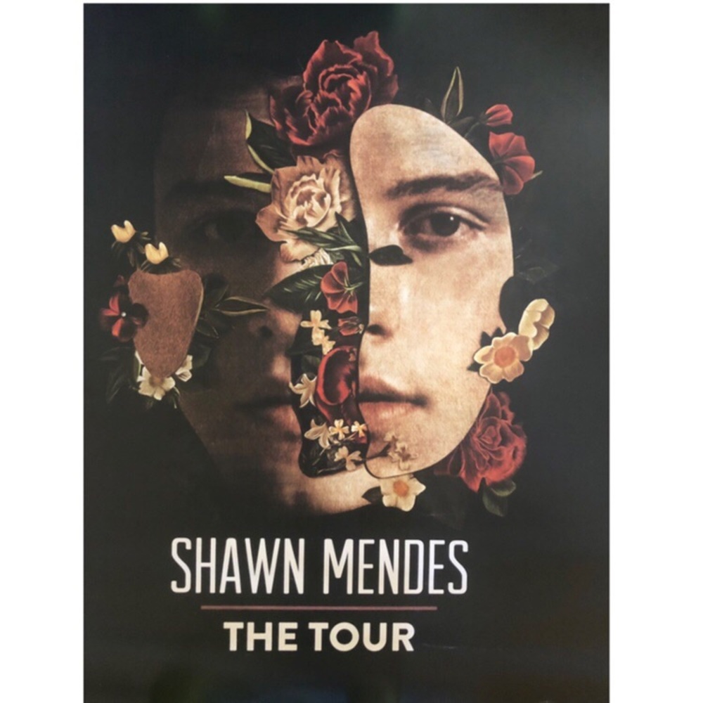 shawn mendes poster